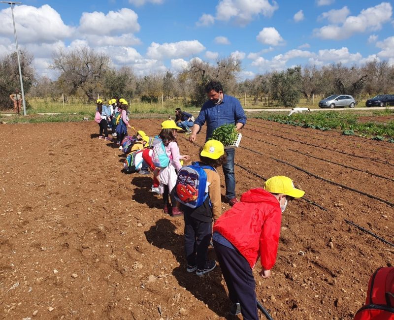 WhatsApp Image 2022-10-04 at 15.26.08